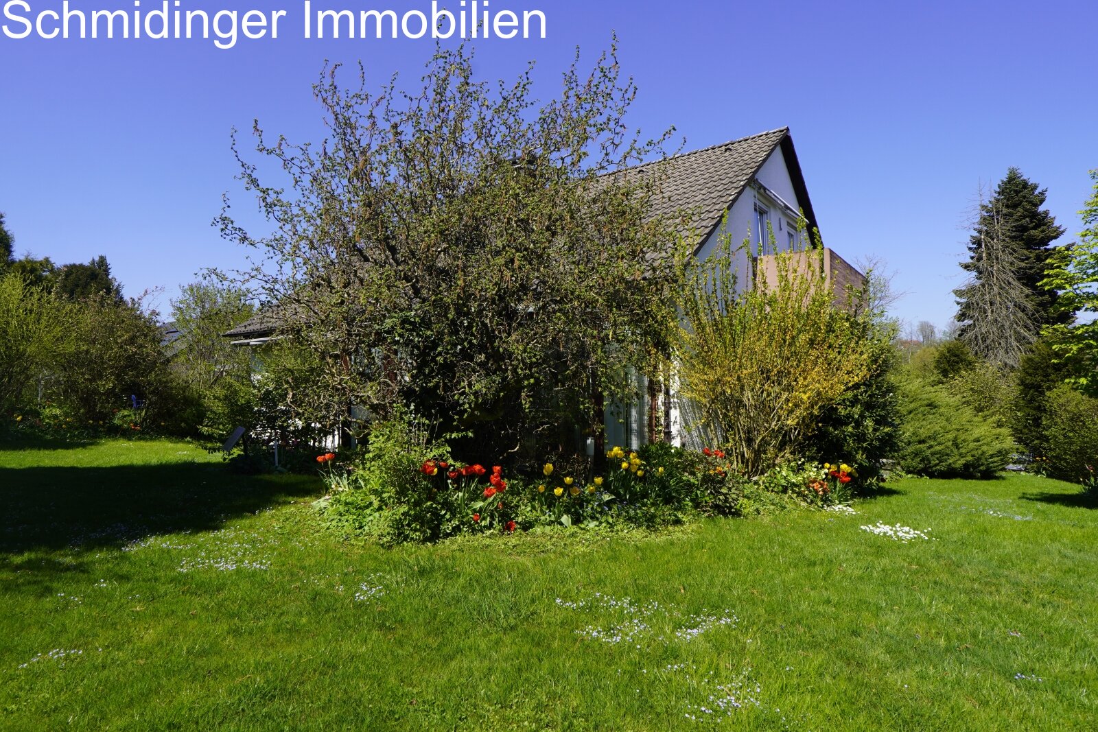 Großzügiges EFH mit Wintergarten und viel Platz für die Familie