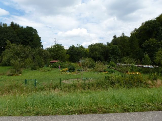 Reute: Schönes Gartengrundstück in Reute für Gartenfreunde reserviert! 